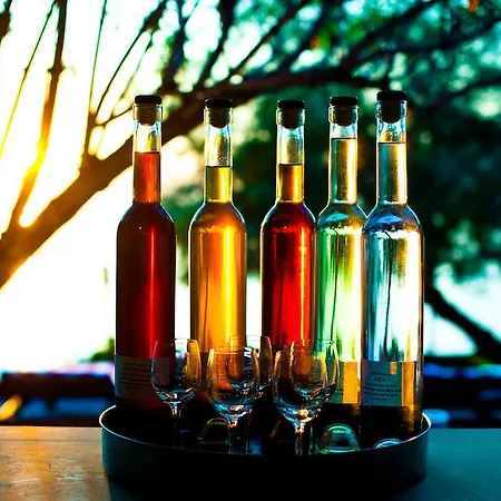 Family Magazin Zuljana